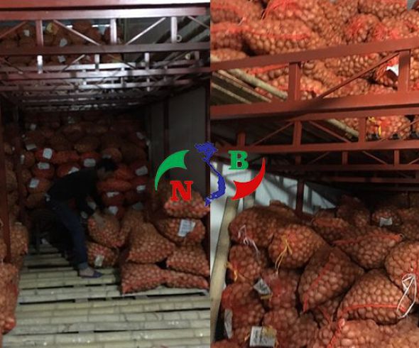 Lắp đặt kho lạnh bảo quản khoai tây - Giao Thủy, Nam Định