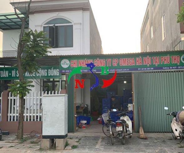 Lắp đặt kho lạnh bảo quản rau tại Phú Thọ